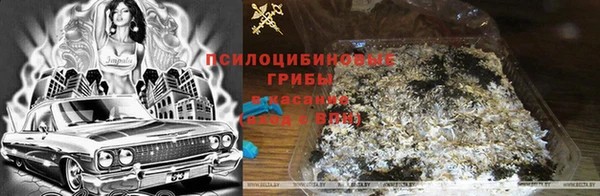 кокаин колумбия Богданович