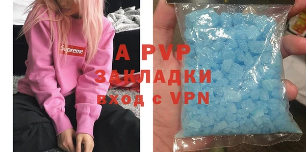 гидра Богородицк