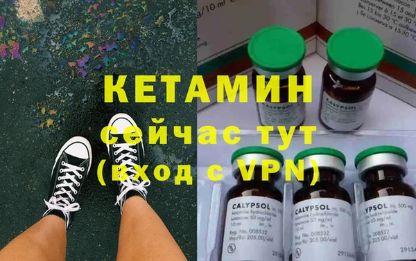 гидра Богородицк