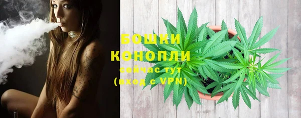 метадон Белокуриха